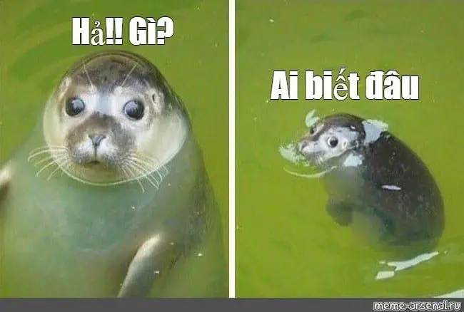 Meme chế ngộ nghĩnh tạo tiếng cười