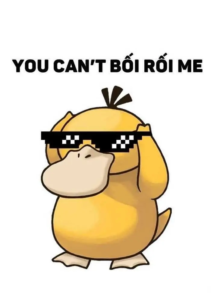 Meme chế hài hước khiến ai cũng cười