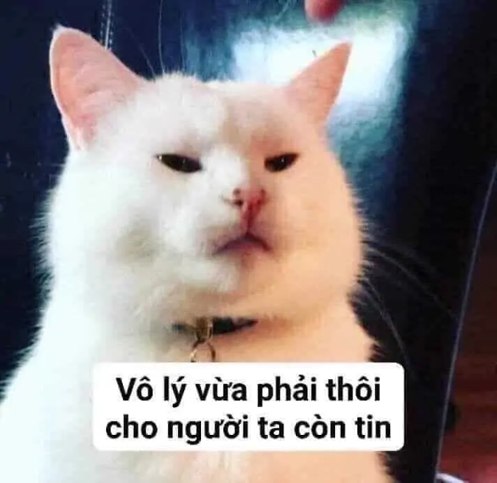 ảnh meme chế 39