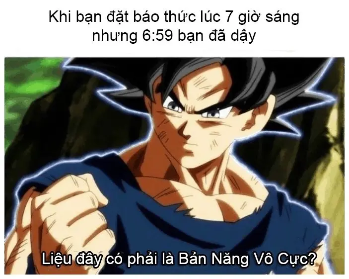 Meme chế hài hước cho mạng xã hội