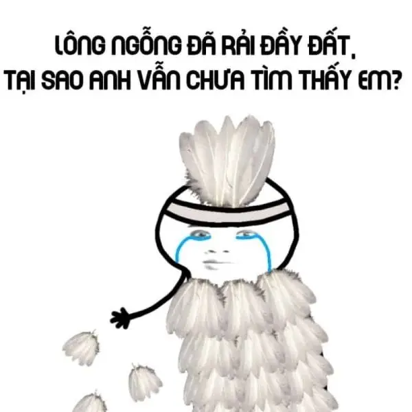 Meme chế độc đáo cho bạn và bạn bè
