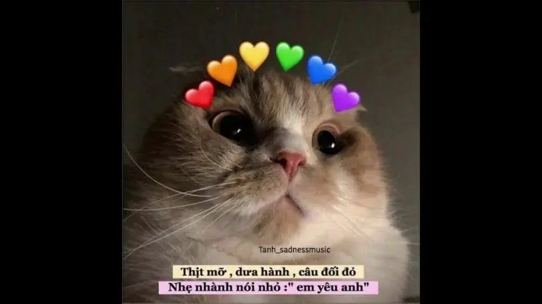 Meme chế ngộ nghĩnh tạo tiếng cười cho cả nhóm