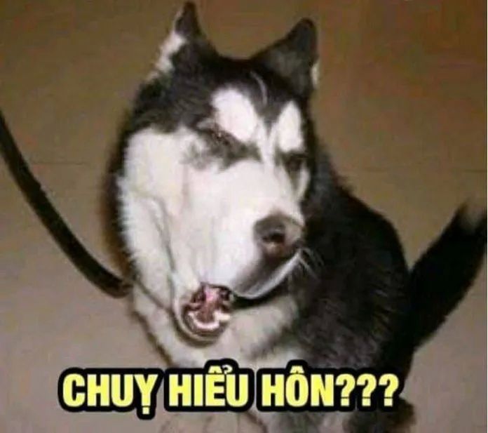 Meme chế hài hước tạo niềm vui