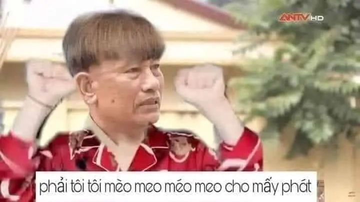 Meme chế thú vị cho ngày mới