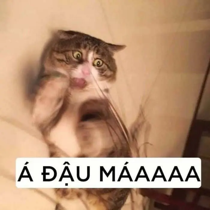 Meme chế vui nhộn giúp giải trí