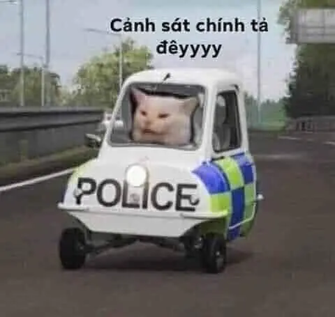 Meme mèo công an lái xe hài hước