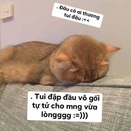 Meme dỗi là hình ảnh ngộ nghĩnh và đầy cảm xúc