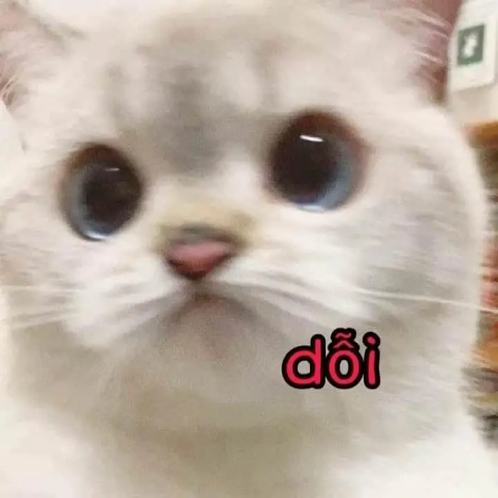 Meme dỗi mang đến tiếng cười từ những tình huống giận dỗi ngớ ngẩn