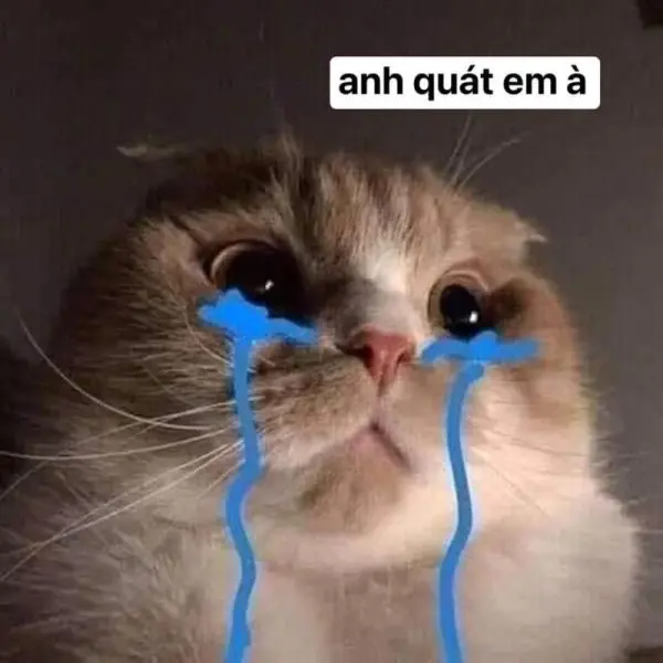Meme dỗi giúp thể hiện sự bất mãn theo cách vui nhộn