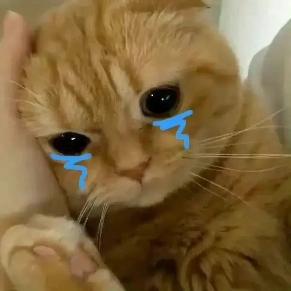 Meme dỗi là cách tuyệt vời để thể hiện sự bất mãn một cách dễ thương