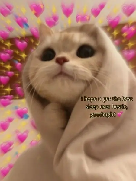 Meme dỗi khiến mọi thứ trở nên nhẹ nhàng hơn qua tiếng cười