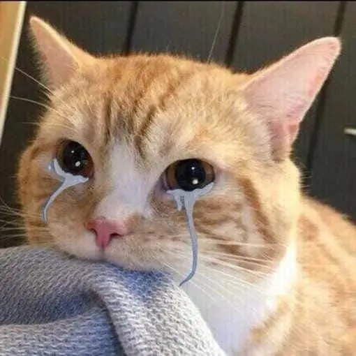 Meme dỗi siêu ngộ nghĩnh giúp bạn giải tỏa cảm xúc giận dỗi