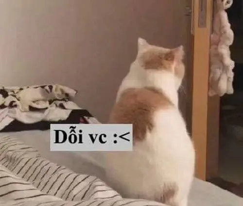 Meme dỗi siêu ngộ nghĩnh mang lại tiếng cười bất tận