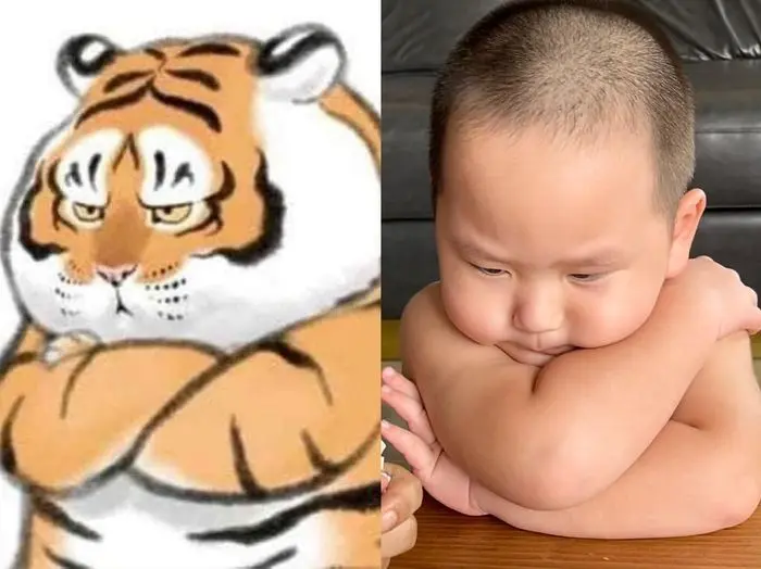 Meme dỗi siêu ngộ nghĩnh giúp bạn thư giãn qua những khoảnh khắc ngớ ngẩn