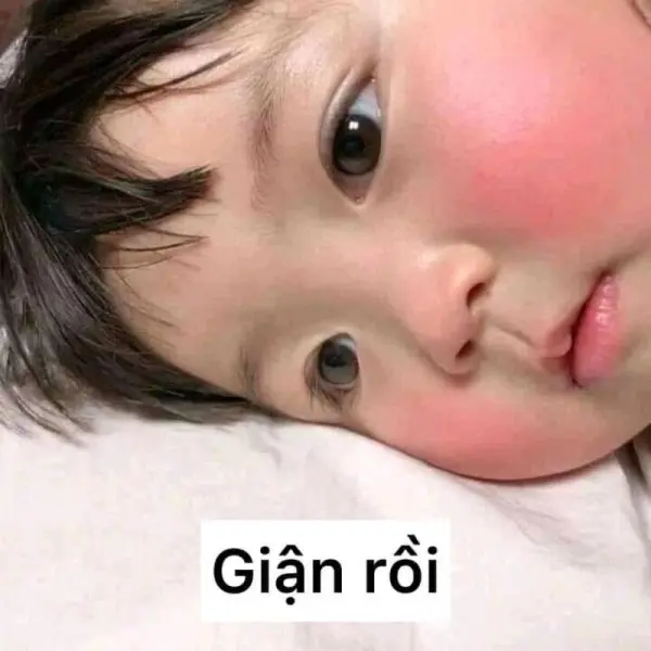 Meme dỗi siêu ngộ nghĩnh làm cho mọi thứ trở nên thú vị và đáng yêu