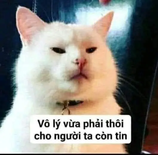 Meme dỗi siêu ngộ nghĩnh giúp bạn cười mỗi khi cảm thấy không vui