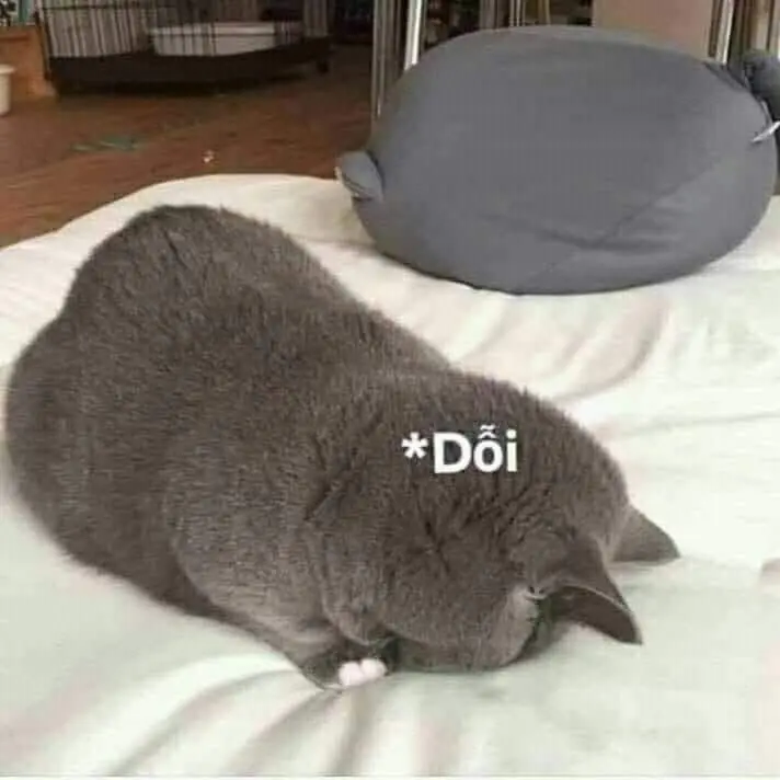 Meme dỗi siêu ngộ nghĩnh khiến bạn thấy sự bất mãn trở nên dễ thương