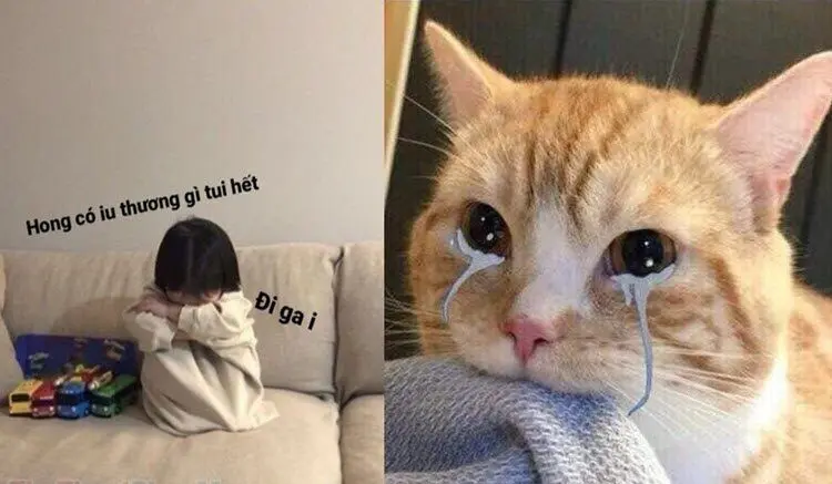 Meme dỗi siêu ngộ nghĩnh làm bạn cảm thấy vui vẻ với những phản ứng ngớ ngẩn