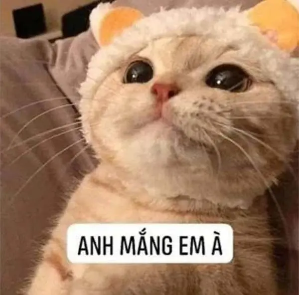 Meme dỗi phản ánh sự giận dỗi trong một cách hài hước