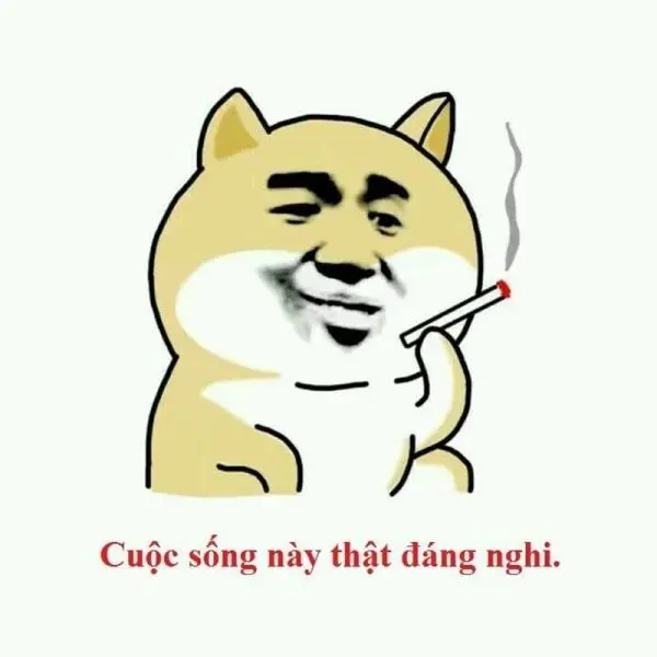 Meme chó hút thuốc khinh bỉ hài hước