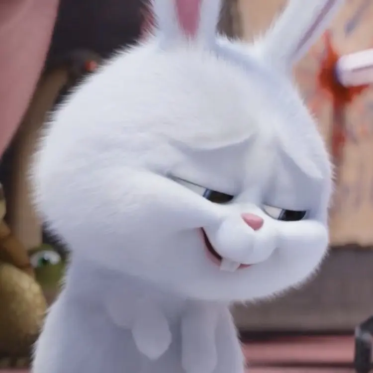 Meme thỏ với biểu cảm khinh bỉ hài hước