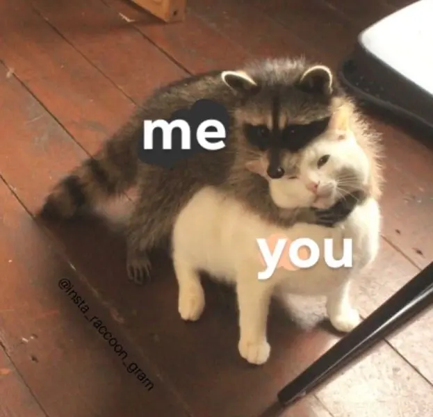 Meme ôm hài hước với biểu cảm vui nhộn