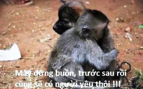 Meme ôm dễ thương khiến người xem bật cười