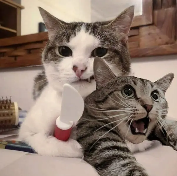 Meme ôm dành cho những người cần động viên