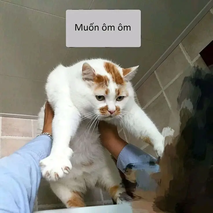 Meme ôm khi cảm thấy nhớ ai đó