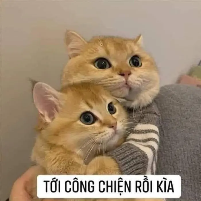 Meme ôm dành cho các cặp đôi yêu xa