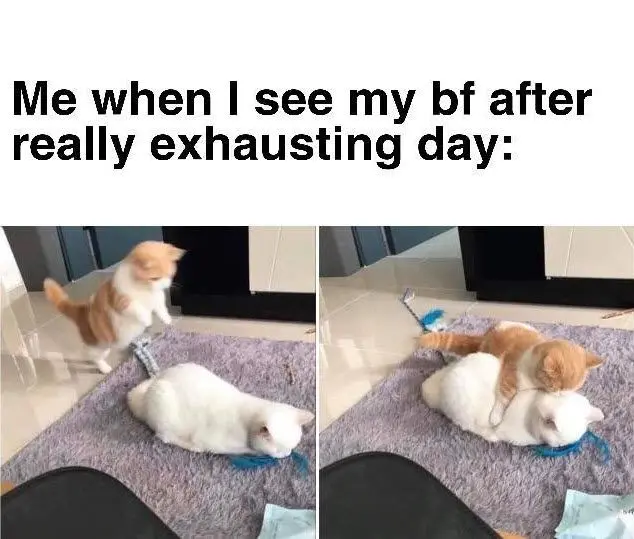 Meme ôm giúp thể hiện cảm xúc chân thành