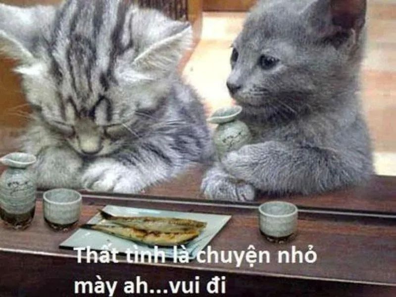 Meme ôm mang lại sự an ủi chân thành