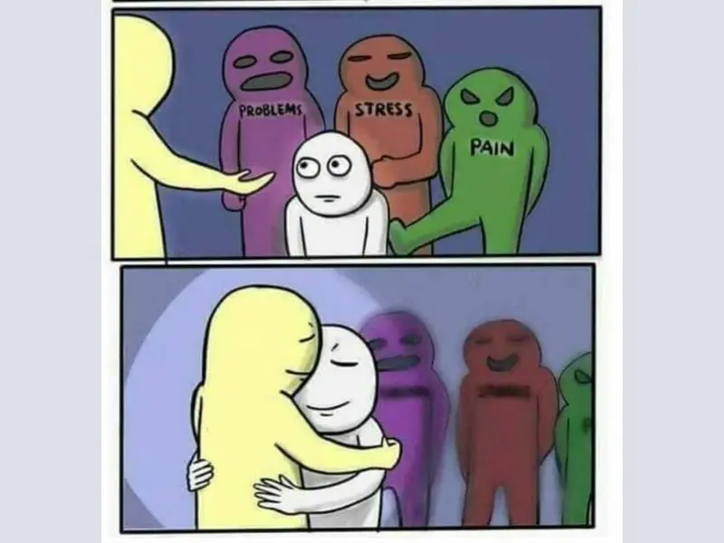Meme ôm dễ thương làm tan biến nỗi cô đơn