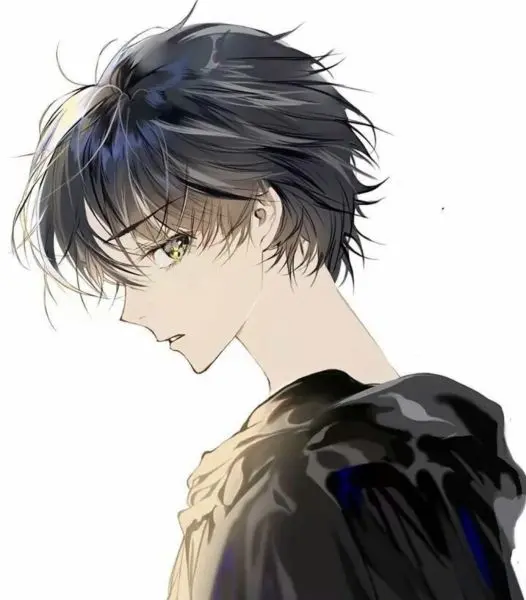 Hình trai đẹp anime tóc bạc Hình trai đẹp anime tóc bạc