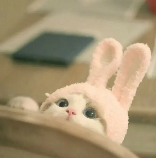 Hình ảnh avatar mèo cute ngọt ngào, dành riêng cho người yêu thú cưng. Hình ảnh avatar mèo cute ngọt ngào, dành riêng cho người yêu thú cưng.
