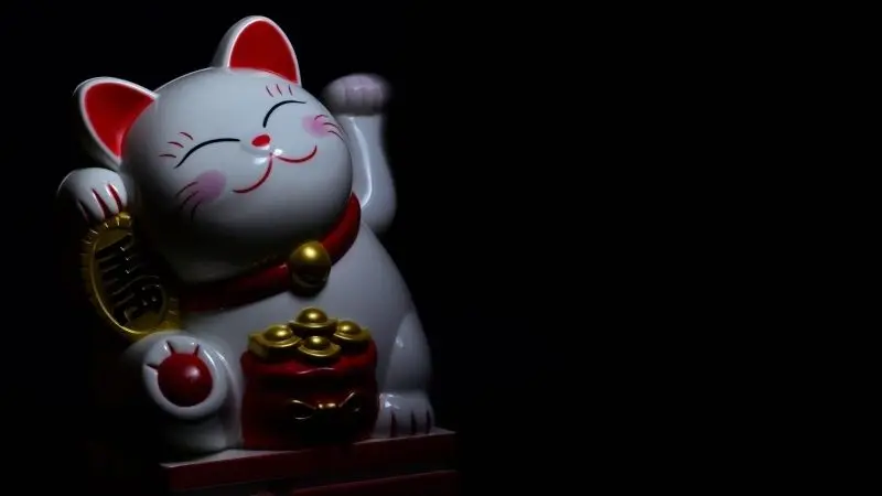 Ảnh avatar mèo cute, lựa chọn hoàn hảo cho những ngày vui tươi. Ảnh avatar mèo cute, lựa chọn hoàn hảo cho những ngày vui tươi.