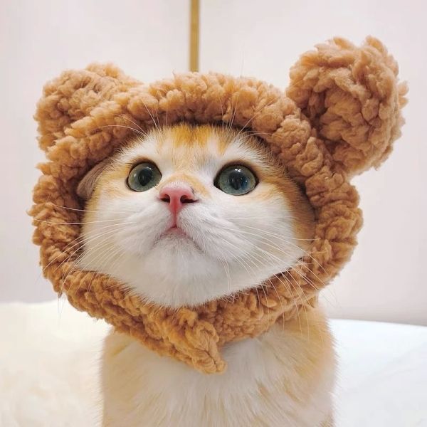 Hình ảnh avatar mèo cute, lan tỏa năng lượng tích cực. Hình ảnh avatar mèo cute, lan tỏa năng lượng tích cực.