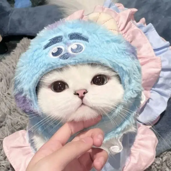 Avatar mèo cute, tạo cảm giác thoải mái và gần gũi. Avatar mèo cute, tạo cảm giác thoải mái và gần gũi.