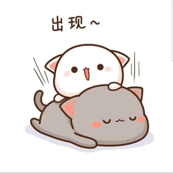 Avatar ngộ nghĩnh với kiểu dáng độc lạ, không đụng hàng.