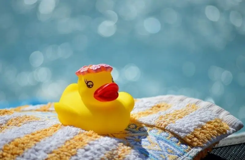 Làm mới hình ảnh cá nhân cùng avatar vịt vàng cute độc đáo Làm mới hình ảnh cá nhân cùng avatar vịt vàng cute độc đáo