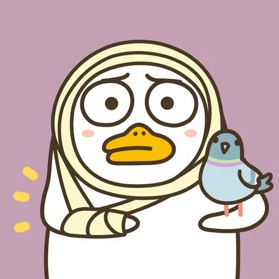Tỏa sáng hơn trên mạng xã hội với avatar vịt hoạt hình cute Tỏa sáng hơn trên mạng xã hội với avatar vịt hoạt hình cute