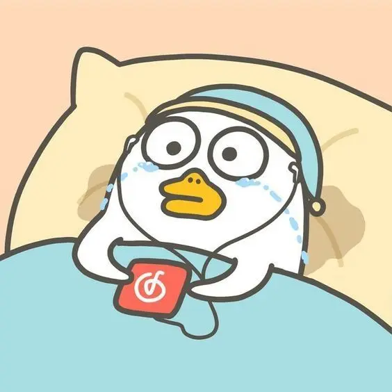 Tăng lượt thích với avatar vịt hoạt hình cute hot trend Tăng lượt thích với avatar vịt hoạt hình cute hot trend