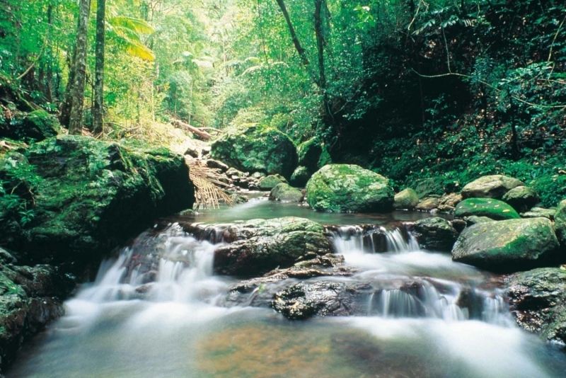 Phong cảnh dòng suối róc rách với làn nước trong veo mát lành. Phong cảnh dòng suối róc rách với làn nước trong veo mát lành.