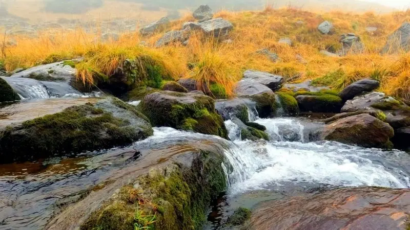 Tận hưởng dòng suối trong veo róc rách, lắng nghe âm thanh thiên nhiên. Tận hưởng dòng suối trong veo róc rách, lắng nghe âm thanh thiên nhiên.