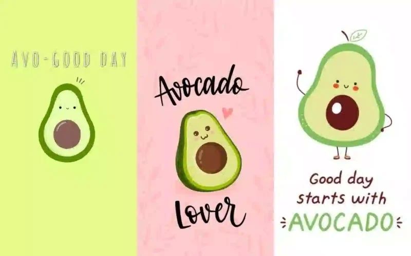 Hình nền quả bơ cho máy tính, sự kết hợp của thiên nhiên và công nghệ Hình nền quả bơ cho máy tính, sự kết hợp của thiên nhiên và công nghệ