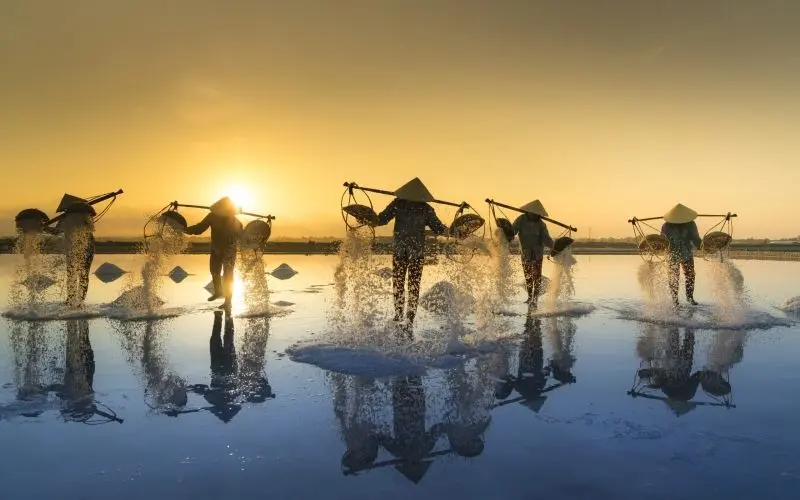 Phong cảnh thiên nhiên Việt Nam, nơi vẻ đẹp hiện diện khắp nơi. Phong cảnh thiên nhiên Việt Nam, nơi vẻ đẹp hiện diện khắp nơi.