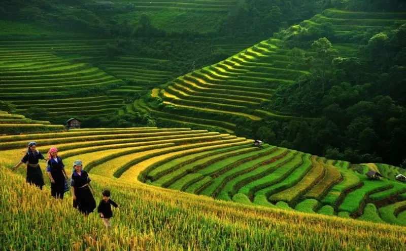 Thiên nhiên Việt Nam với vẻ đẹp hùng vĩ và yên bình. Thiên nhiên Việt Nam với vẻ đẹp hùng vĩ và yên bình.