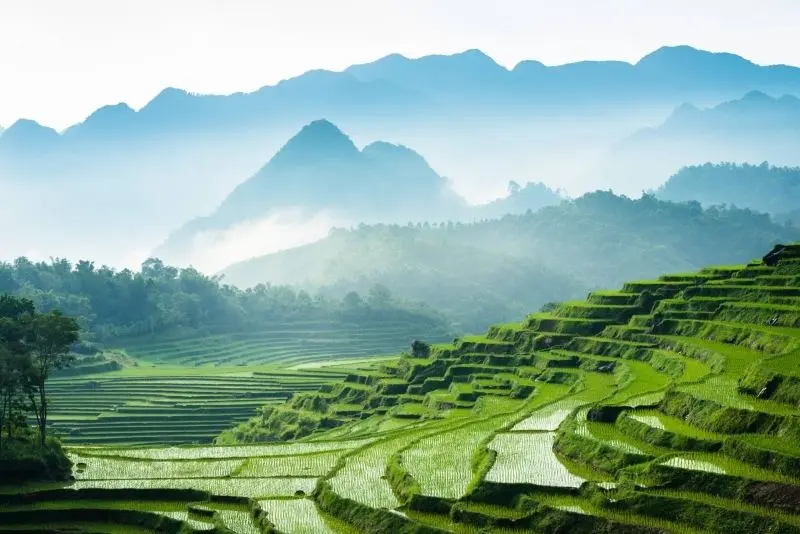 Ngắm nhìn phong cảnh thiên nhiên Việt Nam trong lành. Ngắm nhìn phong cảnh thiên nhiên Việt Nam trong lành.