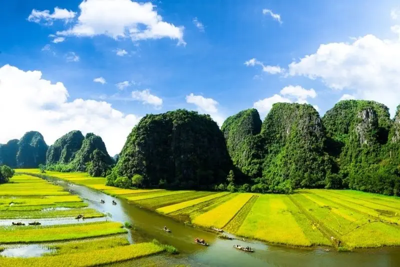 Thiên nhiên Việt Nam - nơi hòa quyện của sắc màu và hương vị. Thiên nhiên Việt Nam - nơi hòa quyện của sắc màu và hương vị.