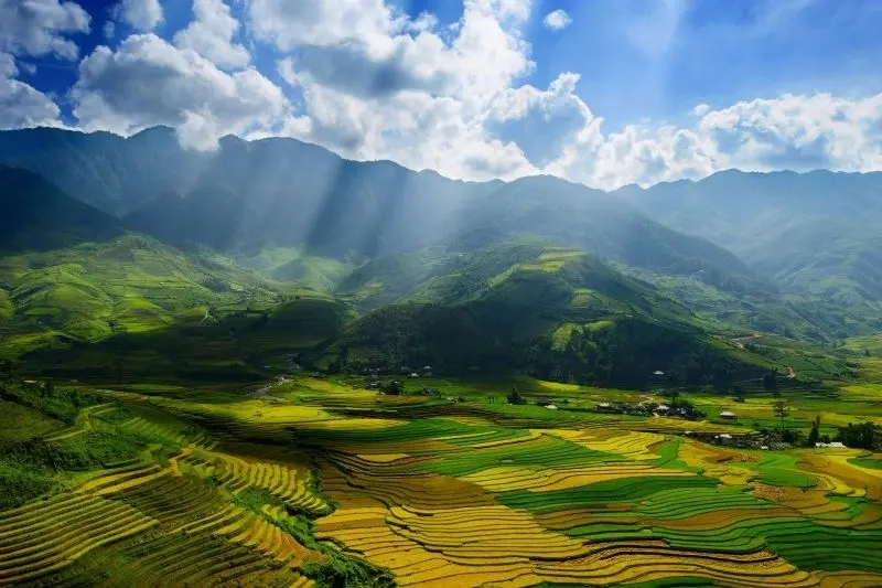 Vẻ đẹp thiên nhiên Việt Nam, từ những đồng lúa đến sông ngòi. Vẻ đẹp thiên nhiên Việt Nam, từ những đồng lúa đến sông ngòi.